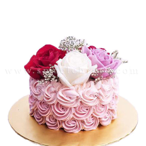 MCGR08 Ombre Blossom